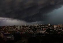 CHUVA: 15 quedas de árvores chuva