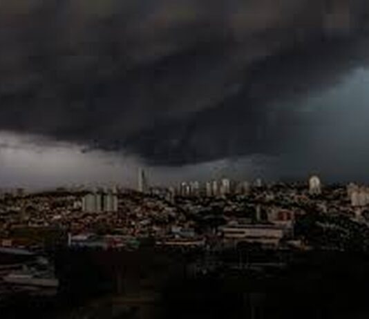 CHUVA: 15 quedas de árvores chuva