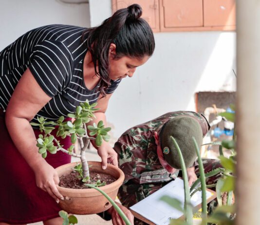 DENGUE: Arrastão em sete bairros, hoje(2) e amanhã dengue