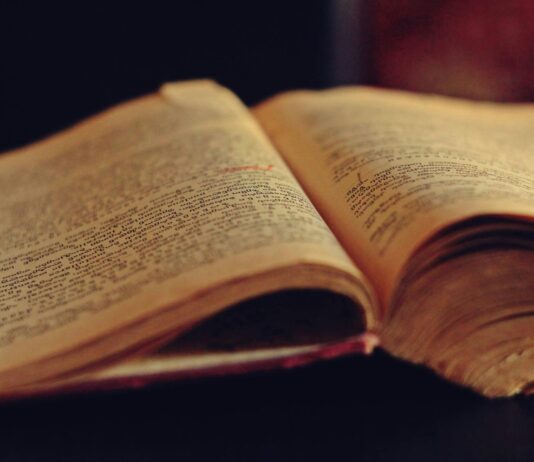 HISTÓRIA e Literatura: diálogos entre Clio e Calíope história