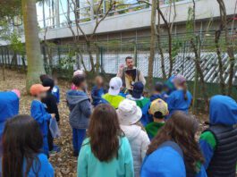 Jardim Botânico promoverá oficina infantil ‘Descobrindo Tesouros’ jardim