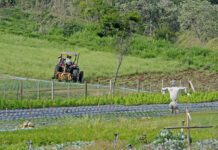 Prêmio Município AGRO: Jundiaí fica em 3º e recebe R$ 100 mil prêmio