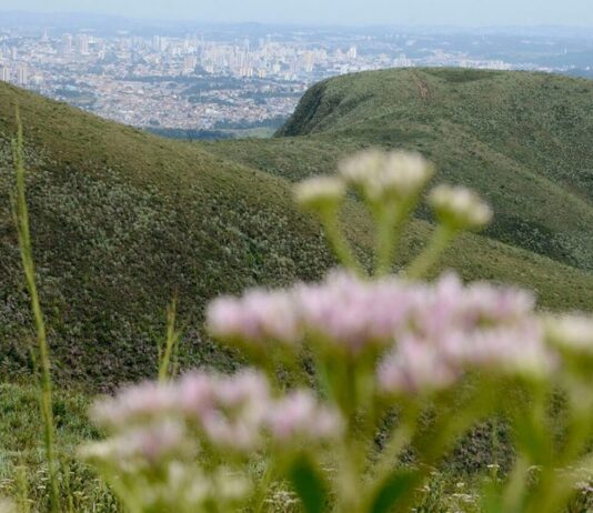 VÁRZEA, a cidade das Orquídeas, também tem muito lazer VÁRZEA