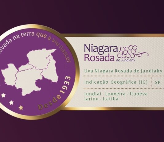 UVA NIAGARA poderá ter canal exclusivo de vendas uva