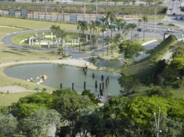 CARNAVAL: Veja roteiro de lazer gratuito para fugir da folia CARNAVAL