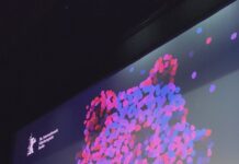 Berlinale: Cinema brasileiro é celebrado por “conquista mundial” berlinale