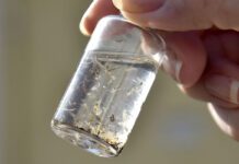 DENGUE: Com 80 casos confirmados, Prefeitura alerta para cuidados dengue