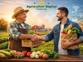 Mercado AGRICULTOR DIGITAL: Itupeva lança plataforma mercado