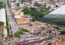 louveira