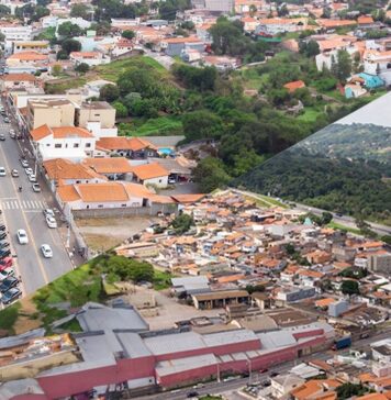 louveira