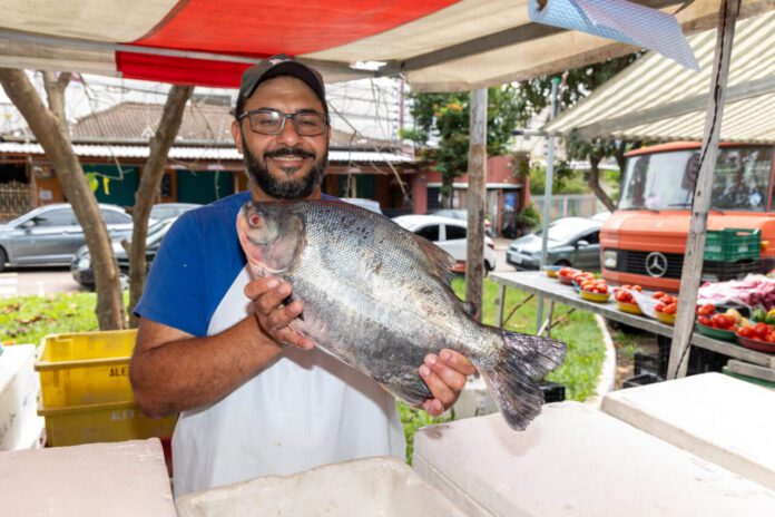semana santa semana santa