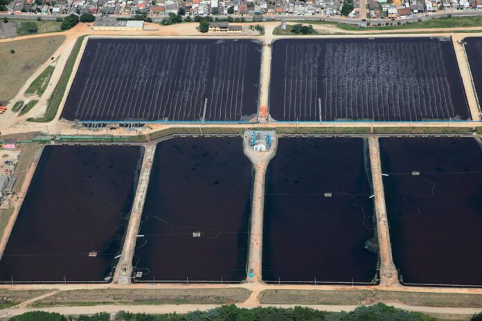 trata brasil trata brasil