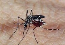 XÔ DENGUE: Hoje(26) e amanhã, arrastão no Tarumã e Tamoio xô dengue