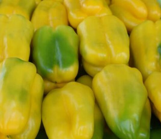 PÁSCOA