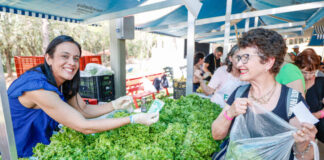 alimentos