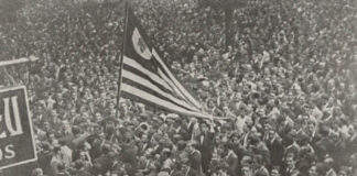 bandeira