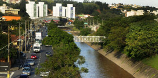 comitês