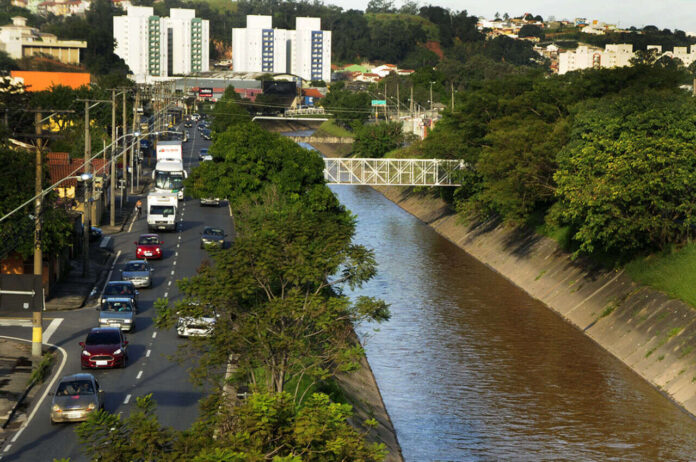 comitês