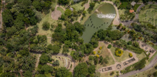 jardim