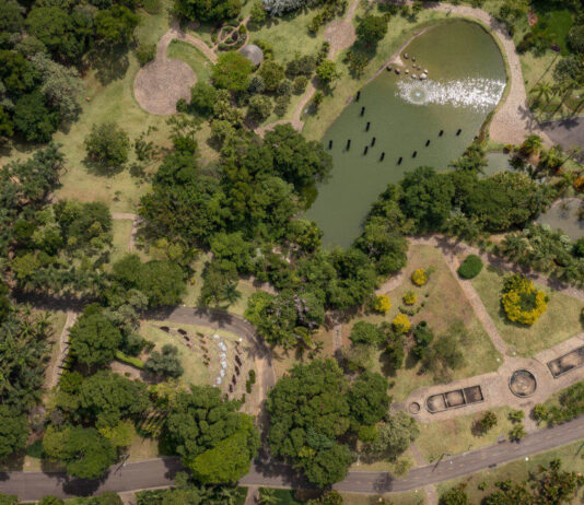 jardim