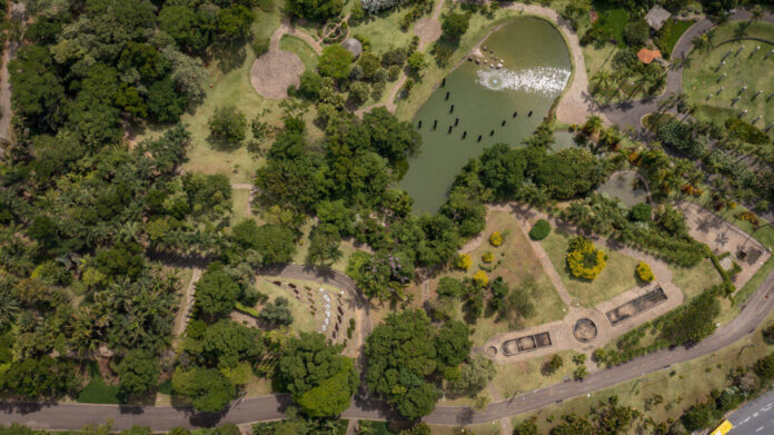 jardim