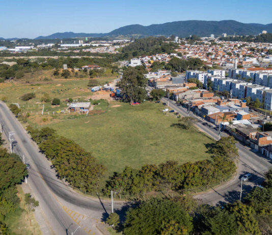 novo