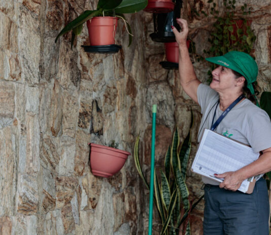 DENGUE: Prefeitura inicia levantamento do IB em 28 bairros dengue