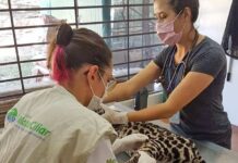 MATA CILIAR: Câmara aprova mudança de zoneamento MATA