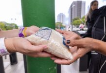 Alimentos: FUNSS tem campanha permanente. Saiba como doar alimentos