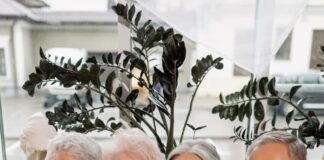 amizade