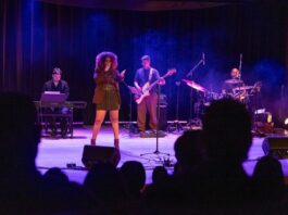 Festival de MÚSICA: Do dia 1º ao dia 3, no Centro das Artes festival