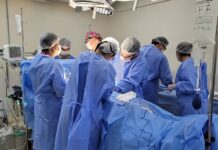 Quanto tempo dura um ÓRGÃO transplantado? órgão