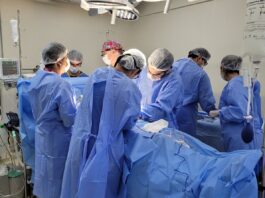 Quanto tempo dura um ÓRGÃO transplantado? órgão