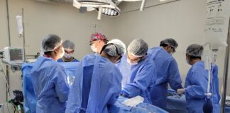Quanto tempo dura um ÓRGÃO transplantado? órgão