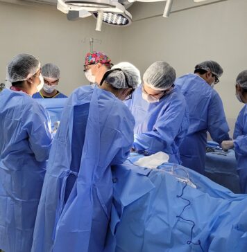 Quanto tempo dura um ÓRGÃO transplantado? órgão