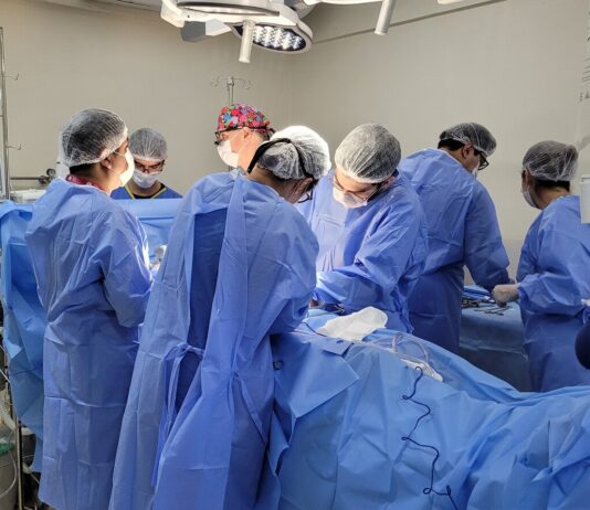 Quanto tempo dura um ÓRGÃO transplantado? órgão