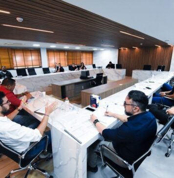 CPI Maria Luiza: Projeto para anamnese com pais ou responsáveis cpi