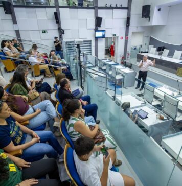 educação