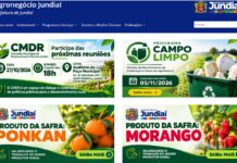 Produtores rurais ganham SITE como programas e serviços produtores