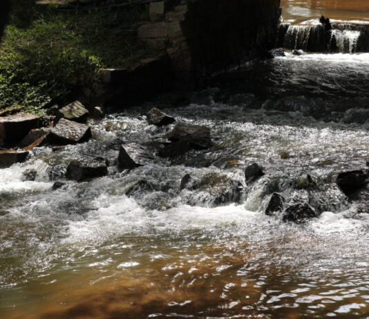 Seminário de SAÚDE Ambiental será dia 27, na DAE seminário